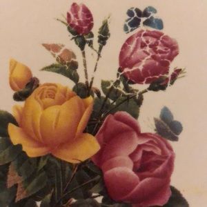 Meet your Posher, Darla